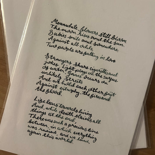 Meanwhile Poem